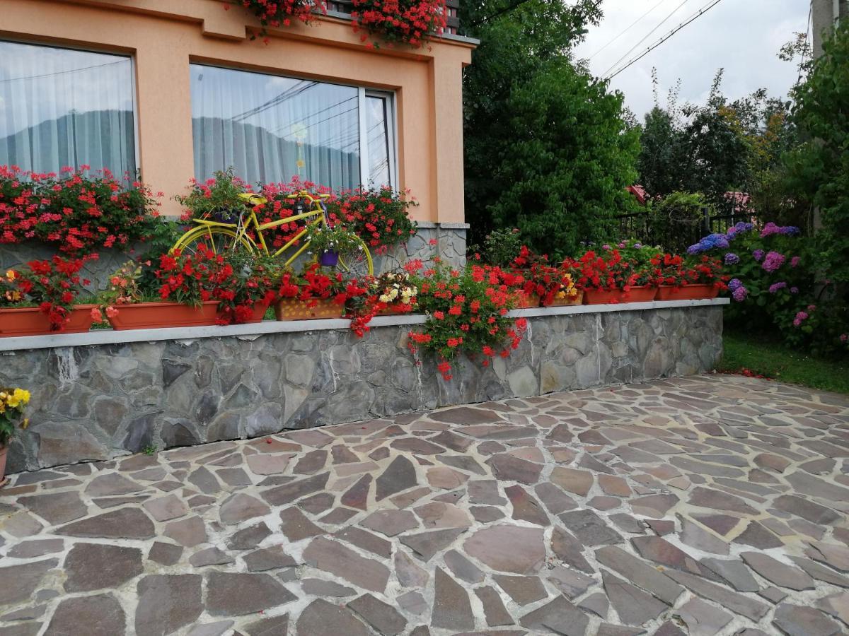 Pensiunea Transilvania Lodge Bran  Exterior foto