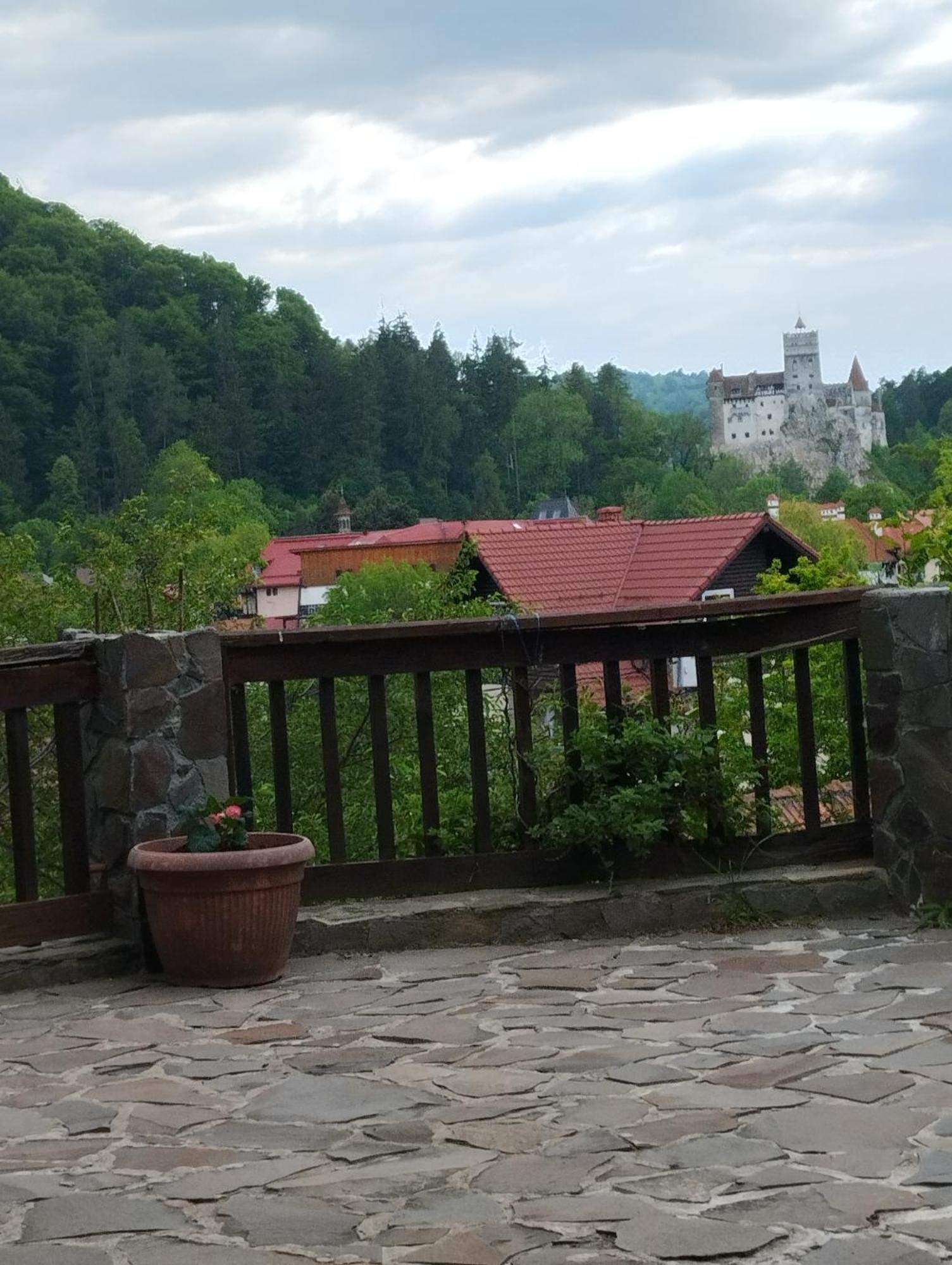 Pensiunea Transilvania Lodge Bran  Exterior foto